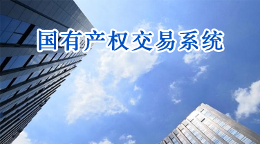 国有产权交易系统