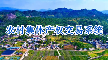 农村集体产权交易系统